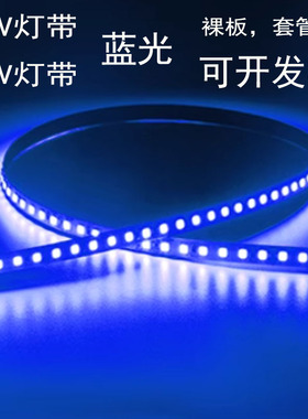 LED灯带 12V超高亮120灯珠红光蓝光绿光黄防水贴片LED车用软灯条