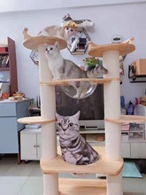 太空舱猫爬架实木质大型猫窝跳台1