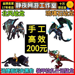 魔兽世界坐骑北风幼龙琉璃石幼龙迅捷祖利安黑豹装甲拉扎什迅猛龙