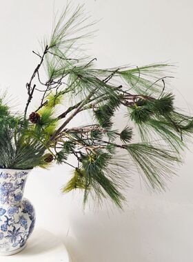 仿真松树枝带果假松枝景观松针黑松柏枝叶迎客松圣诞树 大马尾松