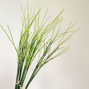 色仿真植物春枝柳条树枝家居样板间酒店婚前橱窗设计摆件插花配材