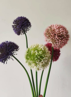 仿真花洋葱球仿真绿植葱球花球婚庆家居蒲公英摄影道具造景假花