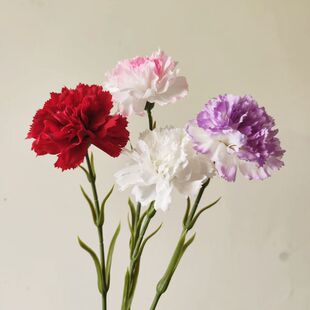 高级感康乃馨仿真花束假花手感保湿客厅餐桌摆件装饰花礼物插花
