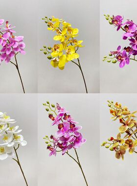 仿真 年宵花橙色蝴蝶兰 高仿保湿手感 假花 客厅 玄关插花配材