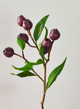 仿真绿色尤加利叶果客厅茶几装饰假花摆设道具高档仿干花僵尸果实