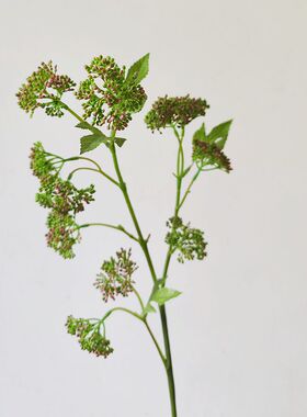 高质仿真花绿色花菜果diy材料拍照道具 假花摆设手捧花超好用配材