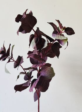 仿真绿色植物 室内室外装饰墙面 家居餐桌 插花花艺 把束紫苏叶