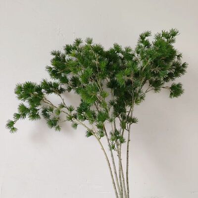 高质仿真松枝崖柏装饰叶子松针松柏树罗汉松盆景仿真植物家居装饰