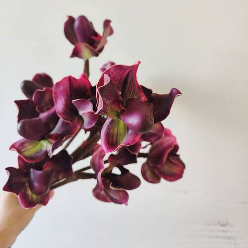 小众仿真花手感假花兜兰家居插花装饰高品质花材创意花艺拍摄道具