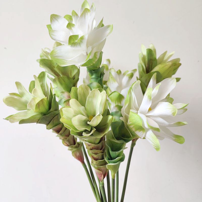 仿真白绿姜花手感木百合火炬仿真花仿生热带假花造景插花材新款