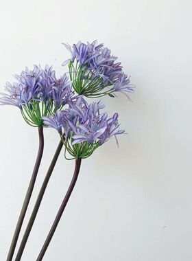 仿真花白色蓝色百子莲手感保湿高品质定制花材插花酒店造景装饰花