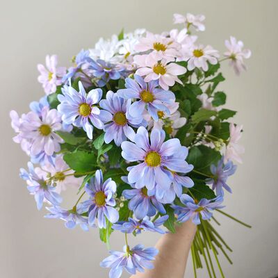 靓菊室内中国插花枝蓝娟花1
