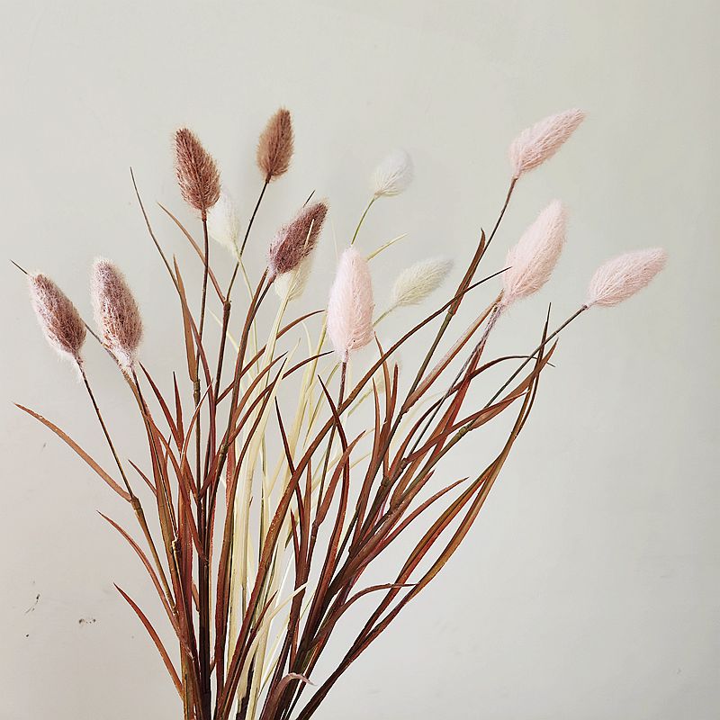 靓芦苇手捧中国插花枝粉稻谷1