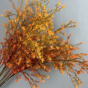仿真千层金黄金香柳迷迭香假花天门冬家居装饰森系婚礼道具黄金宝