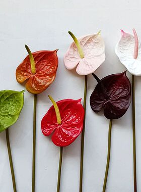 靓靓红掌样中花蚀枝点粉手感1