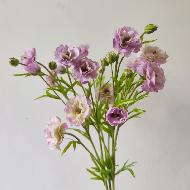 仿真花 蝴蝶洋牡丹 花艺造景 装饰花 单枝假花 空间美陈 摄影道具