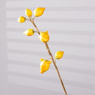 新年配花装饰 仿真果实五代同堂黄金果牛角果花艺摆件年宵插花