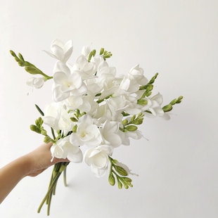 仿妆PU玉簪花水仙手感仿真花花束摆件客厅餐桌假花摆花轻奢小苍兰