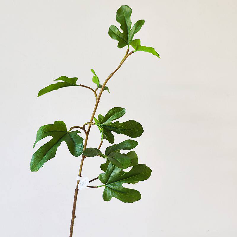 仿真花卉绿树枝无花果叶葫芦叶家居样板房餐客厅玄关花艺装饰材料