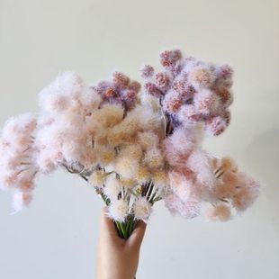 合欢果手札束果实仿真植物蒲公英客厅餐桌茶几装饰绿植墙塑料假花