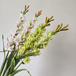 晚香玉仿真花玉簪花家居插花玄关花婚庆酒店花材高档重瓣装饰花艺