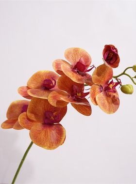 仿真 年宵花橙色蝴蝶兰 高仿保湿手感 假花 客厅 玄关 酒店造景