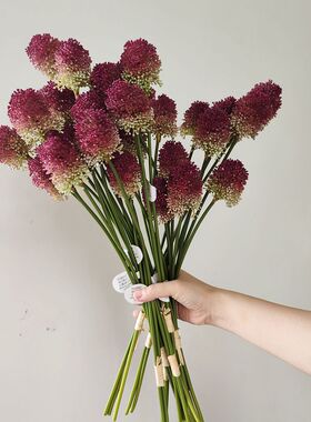配花仿真花绣球花蒲公英摆设花艺