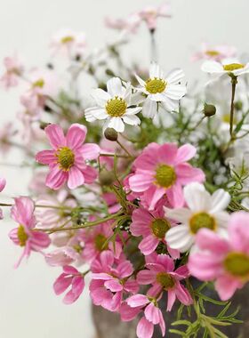 田园趣小野菊仿真花小波斯菊假花客厅摆设餐桌花装饰花束摆拍