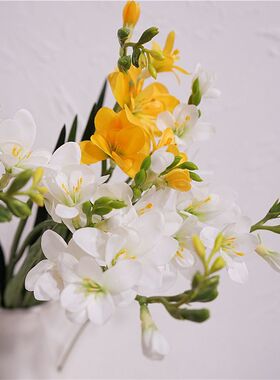 靓插花室内中国兰枝白保湿1