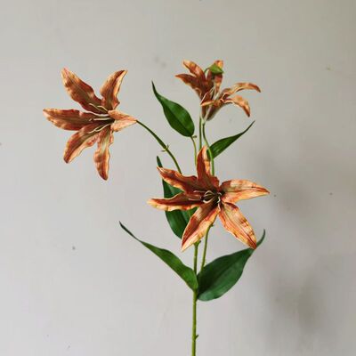 软装配材3头火焰兰火焰百合仿真花千鸟兰 家居美陈花艺设计插花