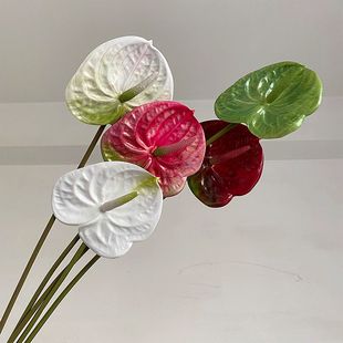INS风高仿真红掌白掌 绿掌粉掌手感花艺插花花蚀拍摄道具店铺陈列