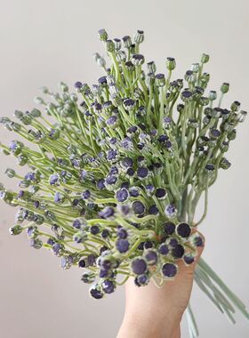 新款逼真银叶菊蕾仿真花文艺清新植物装饰插花艺术风格干花礼物