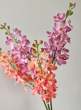 仿真万代兰高品质家居玄关插花北欧假花韩式风千代兰橙色粉色花材