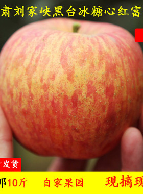 甘肃刘家峡现摘新鲜当季脆甜冰糖心红富士水果带箱10斤包邮