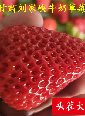 甘肃刘家峡红颜牛奶奶油草莓新鲜当季孕妇水果巧克力现摘带箱4斤