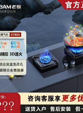 老板57B5X/57B0X/57B2D换新优选燃气灶大火力免改孔猛火灶节能灶