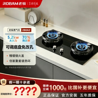 老板20B0AS(X3)/2B0N2/2B0A2/50B1X燃气灶家用厨房小尺寸开孔换装