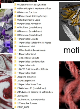 MotionPunk（雪人）订阅教程（2019-2024.11）