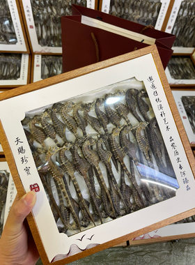 溯源海马一公一母足3克中 药材泡酒正品海马干货中药田七汤包