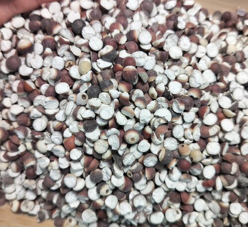 新鲜肇庆芡实干货500g正品特级中药材生欠实鸡头米茯苓薏米茨实店