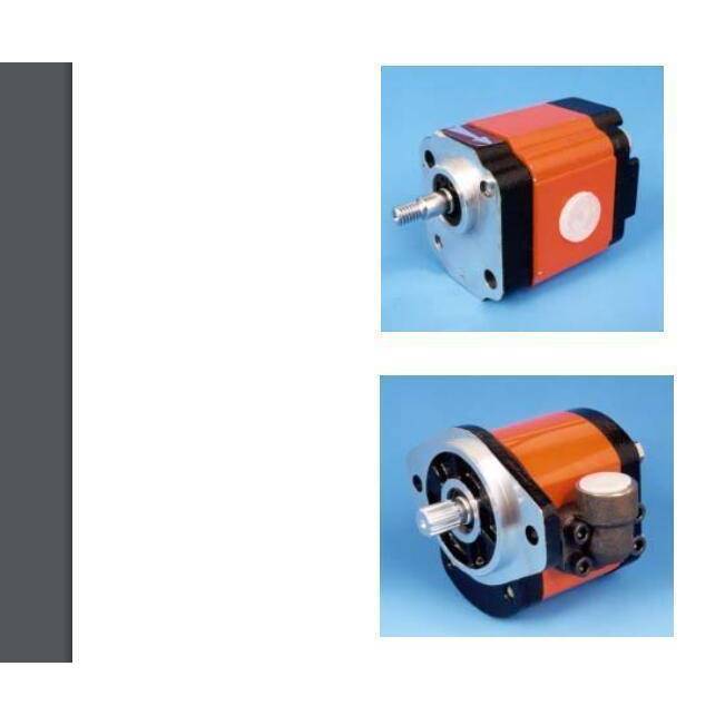 进口Hpi双齿轮泵P1CBN1001CA1001CL20C01