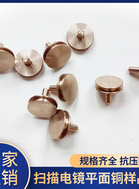 扫描电镜平面铜样品台 12.7mm*9mm钉形台 蔡司 飞纳SEM专用铜