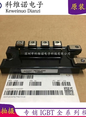 PM150RLA060 PM150CLA060 PM100CLA060 PM75CLA060 PM150RL1A060