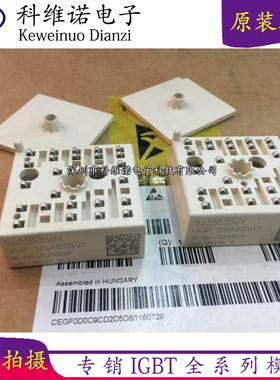 SKIIP13NAB065V1 SKIIP12NAB126V1 SKiiP11NAB063T42  SKIIP11NAB