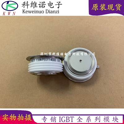 Y38KPEOT14G06 Y38KPEUT14D0 Y38KPEOT K38KPE Y38KPE0T08K01901