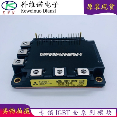 PM75CFE060 PM100CFE060 PM150CFE060 A50L-0001-0331 全新现货