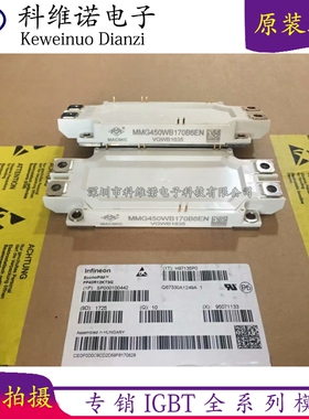 全新MMG450WB170B MMG450WB170B6EN MMG600WB170B6EN MMG300WB170