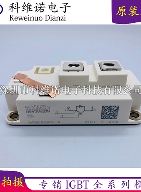 SKM600GA12T4  SKM800GA126D SKM400GA128D SKM800GA17E4 SKM500G