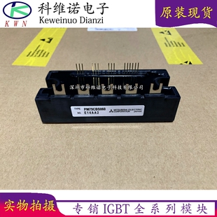 PM50CBS060 PM75CBS060 PM100CSB060 PM150CBS060 PM75CS1E060新
