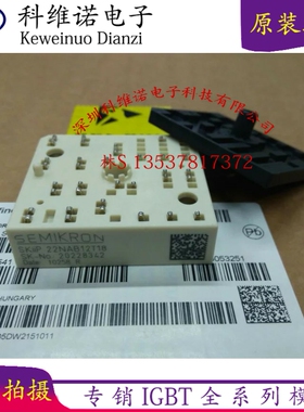 SKIIP22NAB126V10 SKIIP22NAB12T18 SKIIP22NAB12T46 T17 IGBT